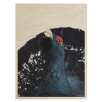 Download an image for Gallery viewing, Plywood Postcard - Riku Norakari
