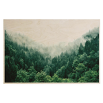 Download an image for Gallery viewing, Plywood Postcard
