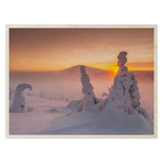 Download an image for Gallery viewing, Plywood Postcard - Timo Veijalainen
