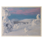 Download an image for Gallery viewing, Plywood Postcard - Timo Veijalainen
