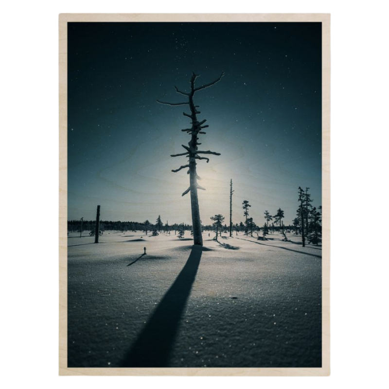 Sami Takarautio - Kelo