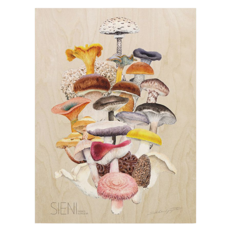 Sakke Yrjölä - The best mushrooms from Finland