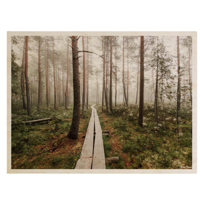Plywood Postcard - Krista Ylinen