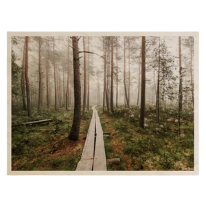 Plywood Postcard - Krista Ylinen