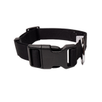 Lataa kuva Galleria-katseluun, Raven Black Collar

