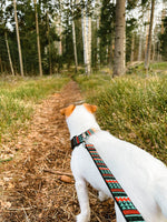 Download an image for Gallery viewing, Dog leash
