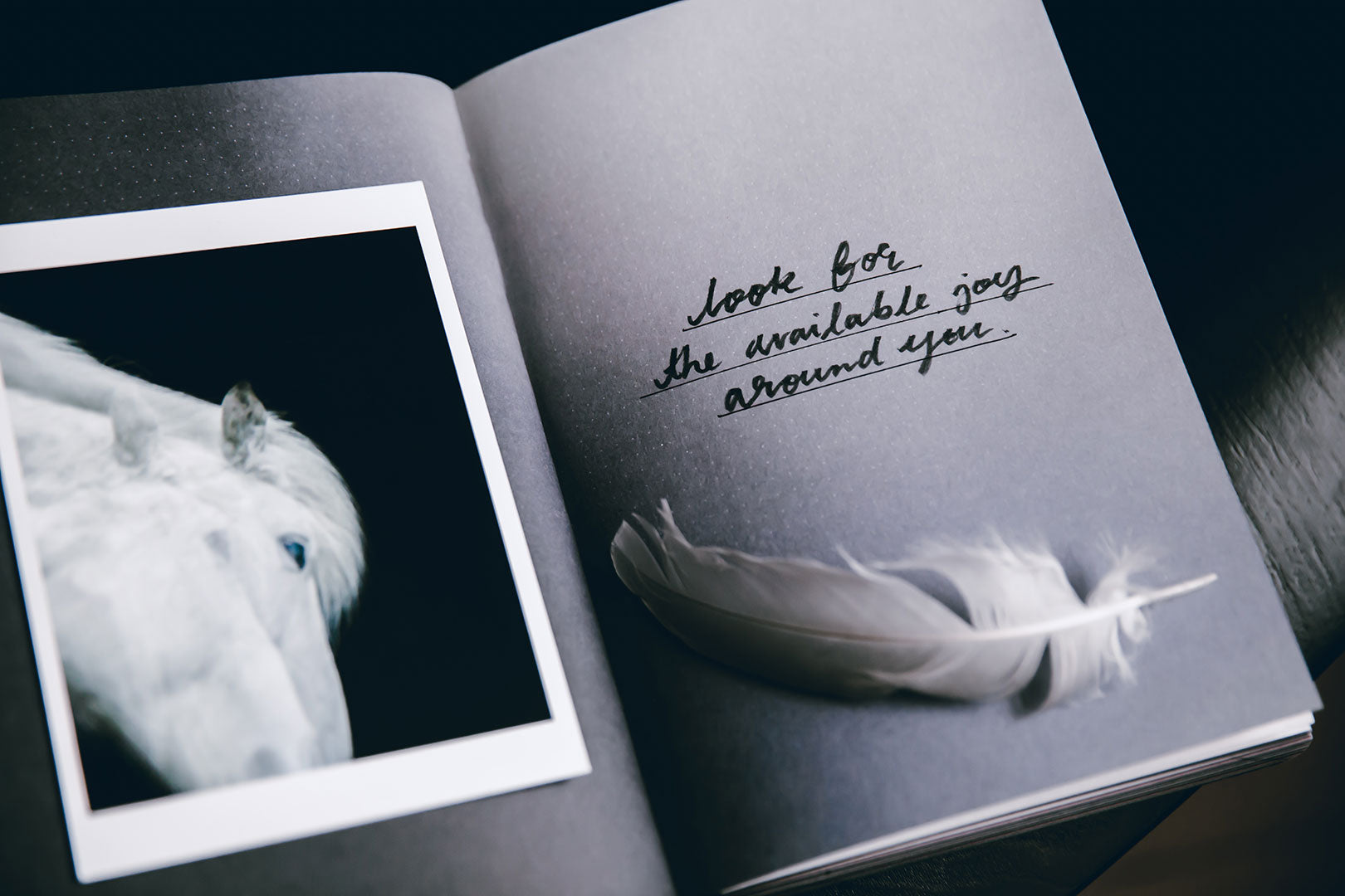 Aura - notebook/bullet journal