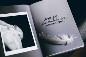 Aura - notebook/bullet journal