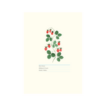Download an image for Gallery viewing, Viikkokalenteri 2023
